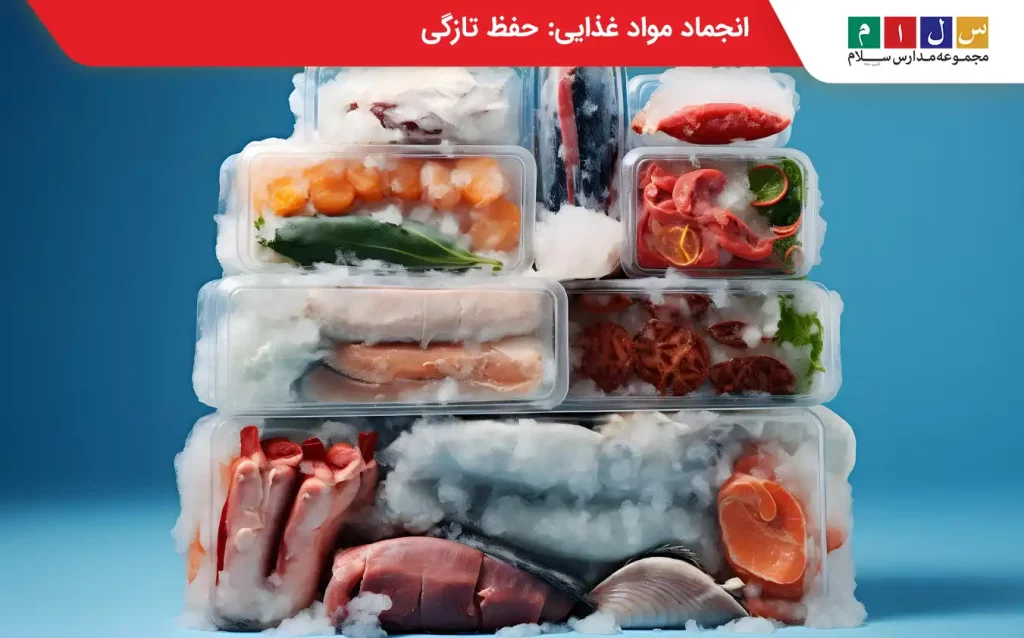 بسته‌بندی مواد غذایی منجمد در فریزر برای حفظ تازگی