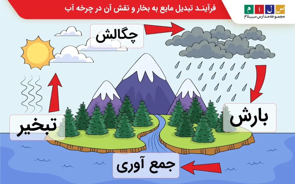 تبخیر، چگالش و بارش در چرخه آب طبیعت