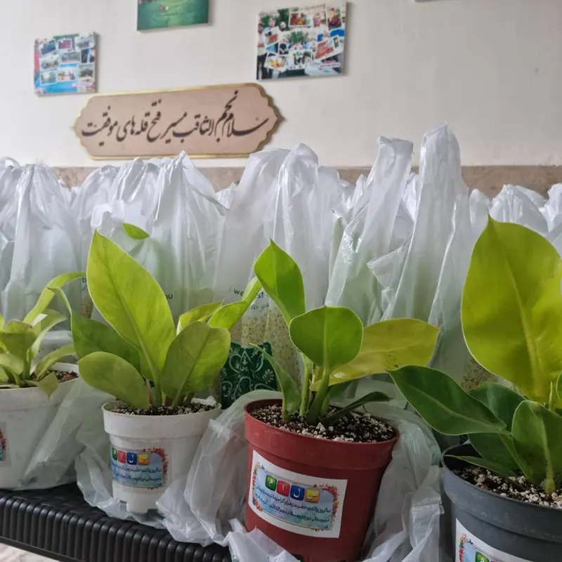 برگزاری مراسم گرامیداشت روز مادر در دبیرستان سلام نجم الثاقب