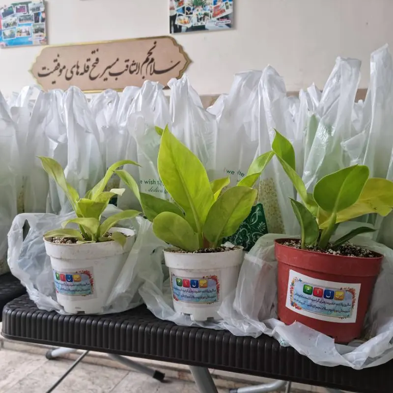 برگزاری مراسم گرامیداشت روز مادر در دبیرستان سلام نجم الثاقب