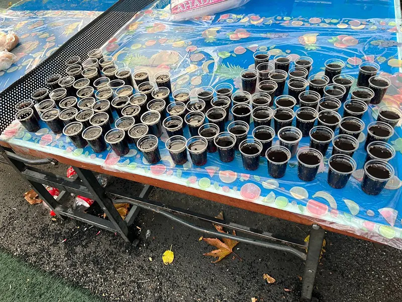 پذیرایی عصرانه اردوی مطالعاتی دی ماه پایه دوازدهم دوره ۲۲ دبیرستان سلام تجریش