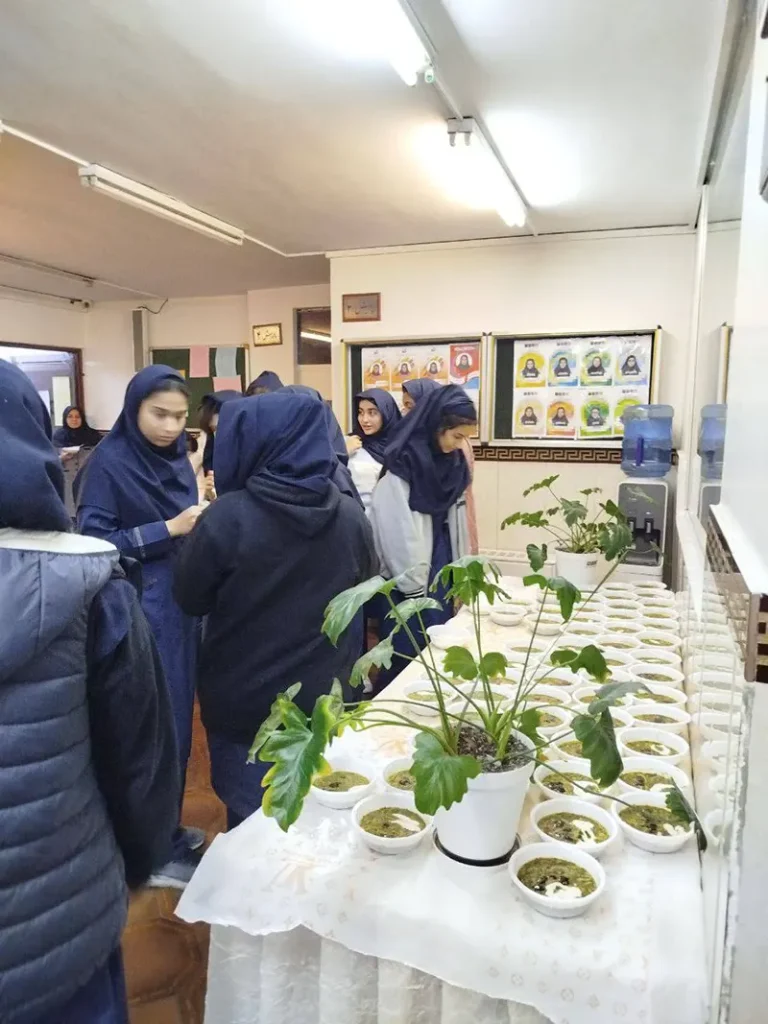 برگزاری اردو مطالعاتی پایه دوازدهم در دبیرستان دوره دوم دخترانه سلام ونک