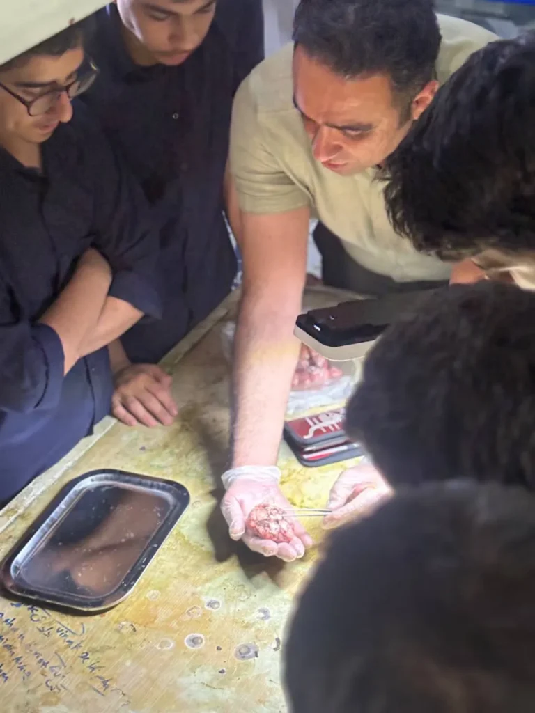 تشریح مغز توسط دانشآموزان یازدهم تجربی دبیرستان سلام تجریش