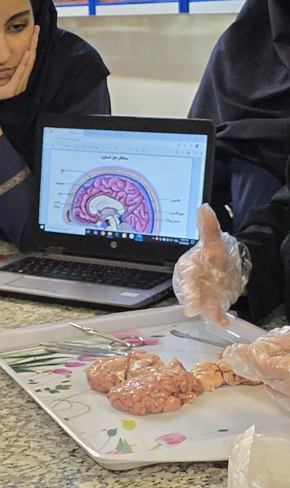 تابستان علم و خلاقیت در دبیرستان دخترانه سلام ونک